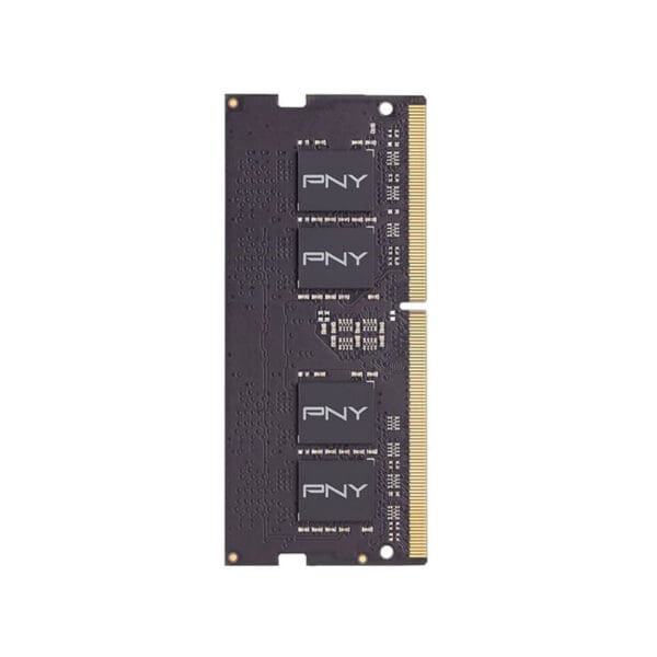 PNY-MN8GSD42666